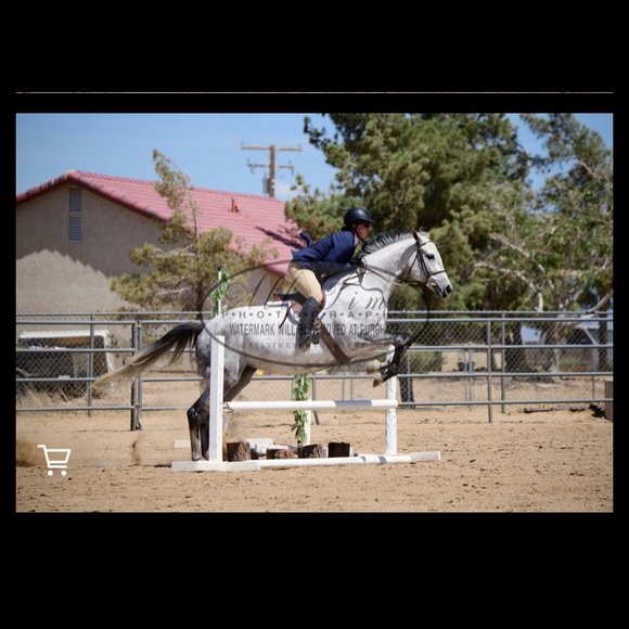 Meet your Posher, Kelly - Picture 16 of 16